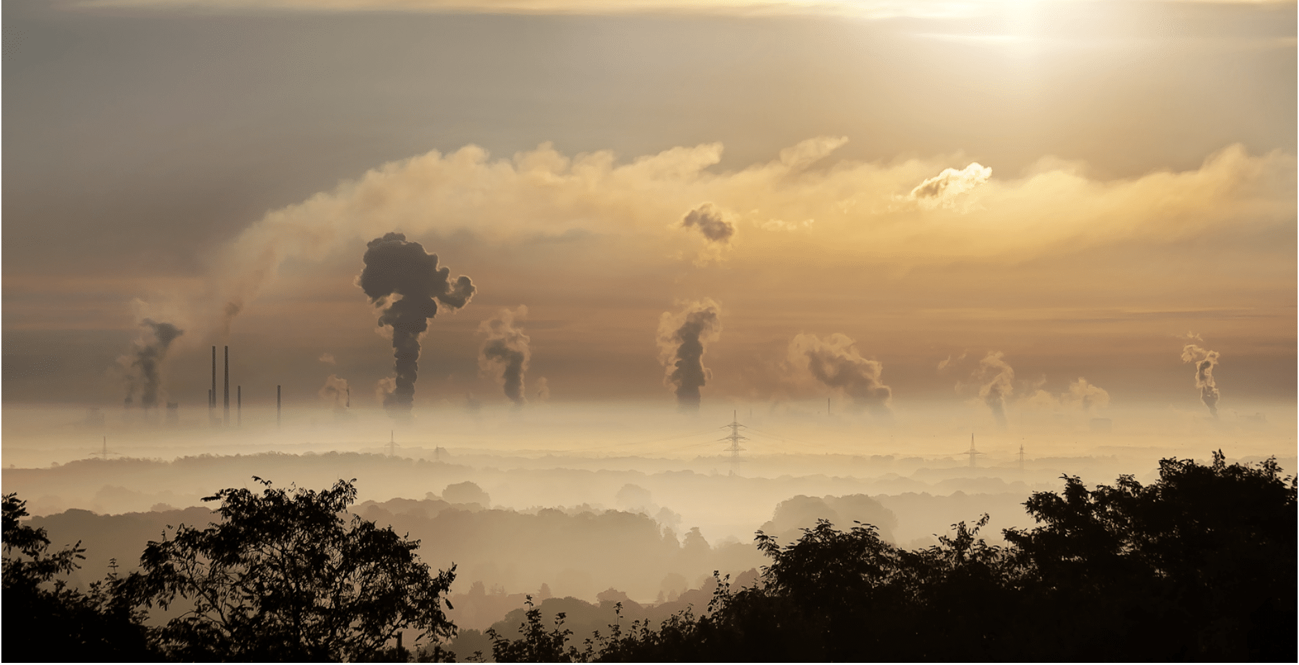 Why We Must Remove Carbon Dioxide from the Atmosphere